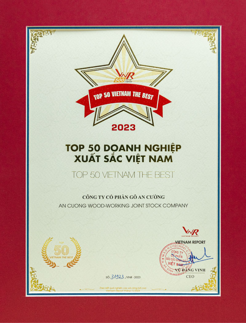 TOP 50 VIETNAM THE BEST
